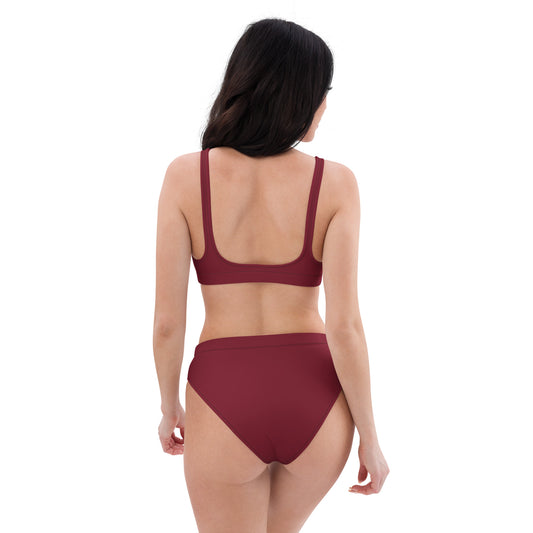 Burgundy High-Waisted Bikini