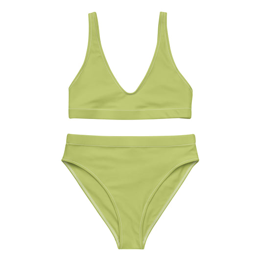 Wild Willow High-Waisted Bikini