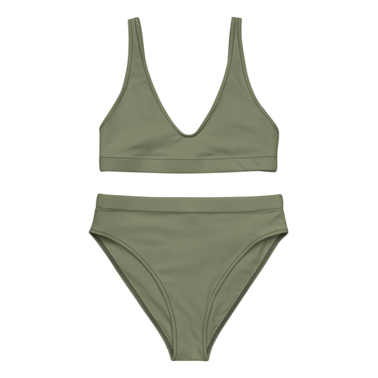 Finch High-Waisted Bikini