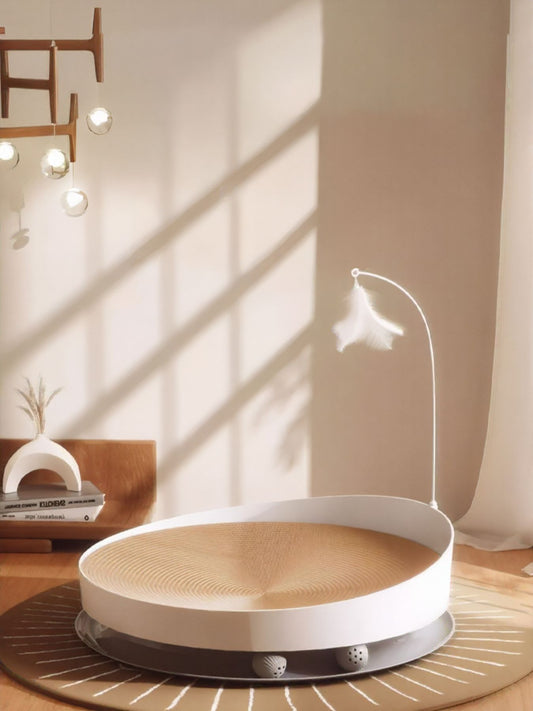 bcae0258-916d-4a48-87c0-4c9271cb5574-Max