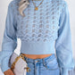 Openwork Mock Neck Long Sleeve Cropped Sweater