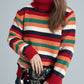 Contrast Stripes Turtleneck Long Sleeve Sweater