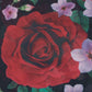 5d4ca574-2919-4e09-bbda-ac4b60607012-Max-Origin