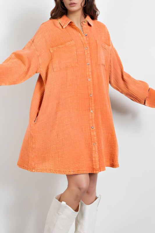 Pocketed Button Up Long Sleeve Shirt Dress