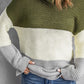 Color Block Turtleneck Long Sleeve Sweater