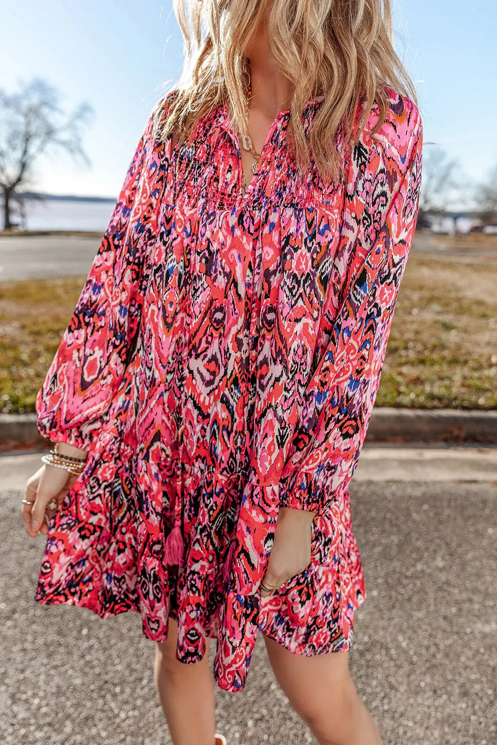 Tassel Printed Tie Neck Long Sleeve Dress