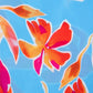 e636c469-970b-40c0-84e8-91a957a4aec8-Max-Origin