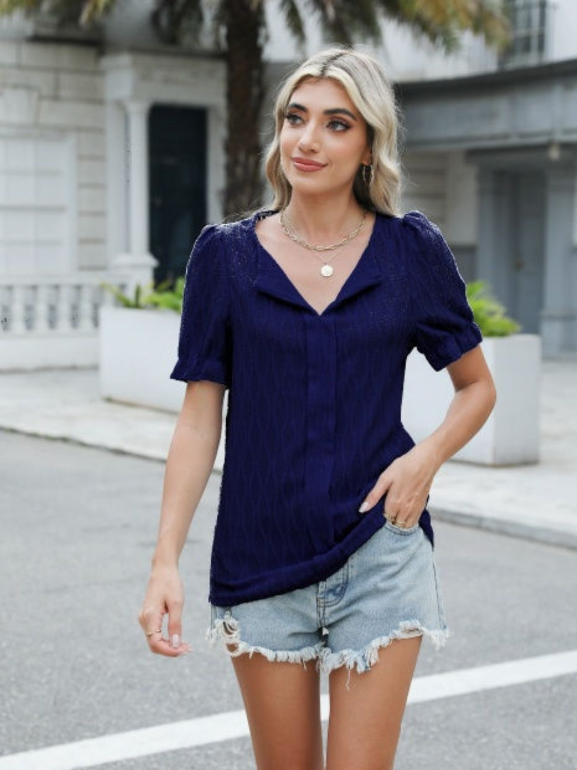 Textured Notched Short Sleeve Blouse